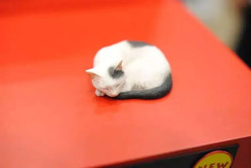 Resin Figure Sleeping Cat Unpainted Garage Resin Kit